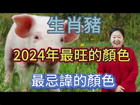 屬豬終身幸運色|2024豬年開運色速查